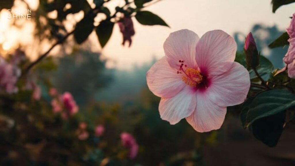 Nature-Inspired One-Word Kannada Captions