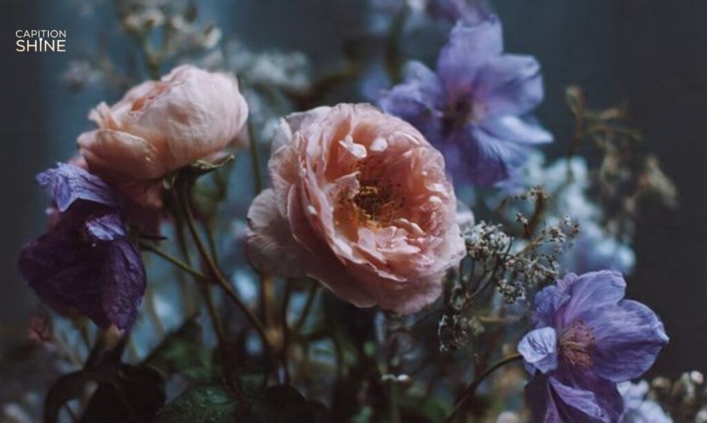 Romantic Flower Captions