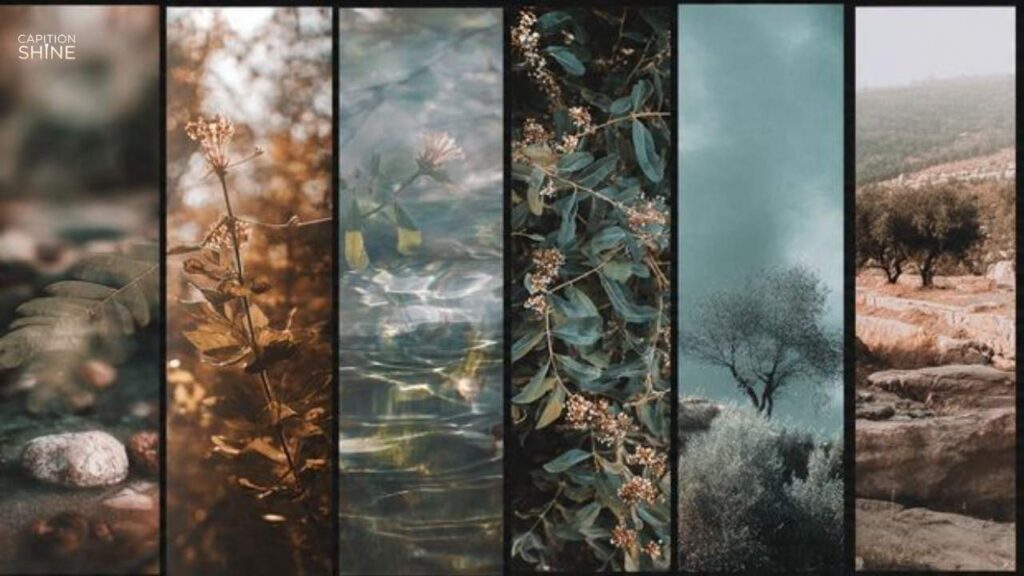 Best Nature Bio For Instagram